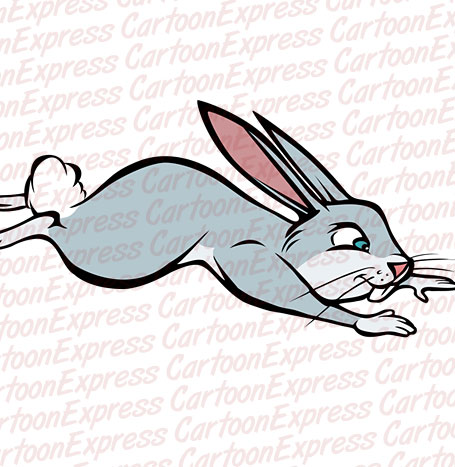 rabbit jumping